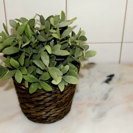Apartmán Tiles Square - Alfama With River View *